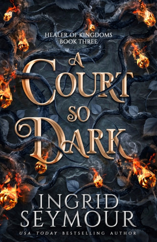 Cover image for 9781035417032 - A Court So Dark