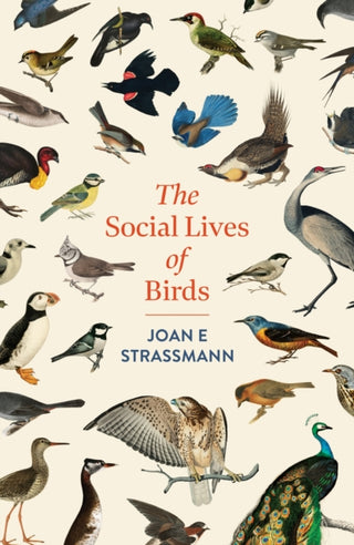 Cover image for 9781035417131 - The Social Lives of Birds