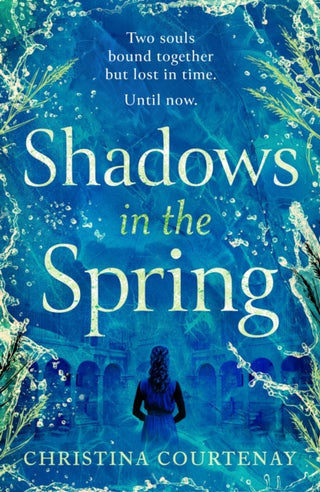 Cover image for 9781035418664 - A brand-new, gripping, time-slip romance, filled with adventure and vivid historical detail!