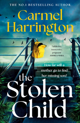 Cover image for 9781035421404 - The Stolen Child