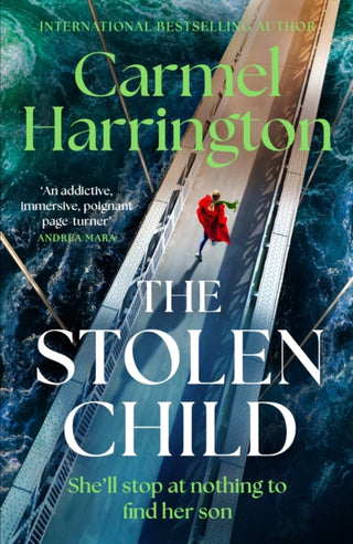 Cover image for 9781035425501 - The Stolen Child