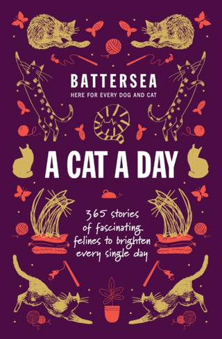 Cover image for 9781035425549 - Battersea Dogs and Cats Home - A Cat a Day