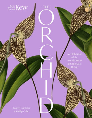 Cover image for 9781035427727 - The Orchid