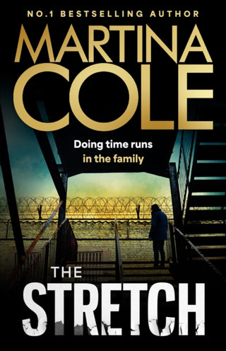 Cover image for 9781035440627 - The Stretch