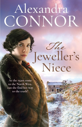 Cover image for 9781035441471 - The Jeweller's Niece