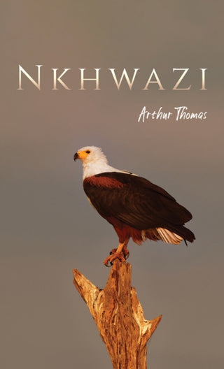 Cover image for 9781035805914 - Nkhwazi