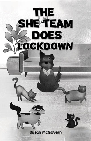 Cover image for 9781035811458 - The She Team Does Lockdown