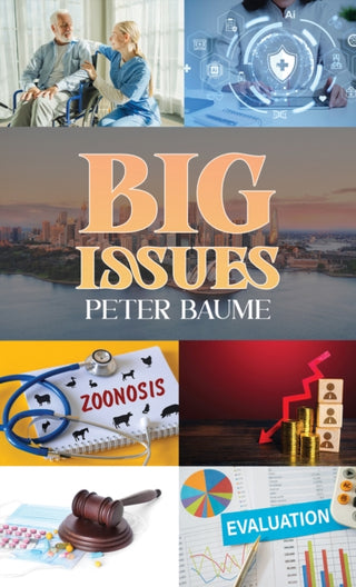Supplemental image for 9781035818709 - Big Issues