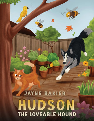 Cover image for 9781035820399 - Hudson