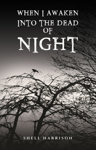Cover image for 9781035820467 - When I Awaken Into The Dead of Night