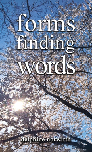 Cover image for 9781035824052 - forms finding words