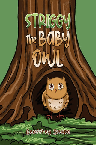 Cover image for 9781035829224 - Striggy the Baby Owl