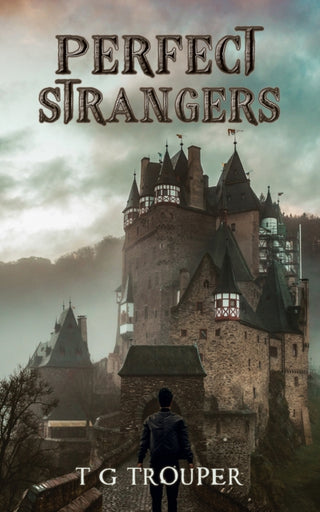 Cover image for 9781035833849 - Perfect Strangers