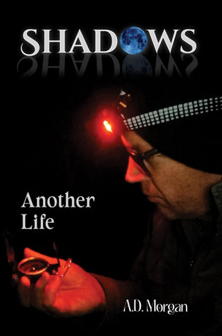 Cover image for 9781035845385 - Shadows – Another Life