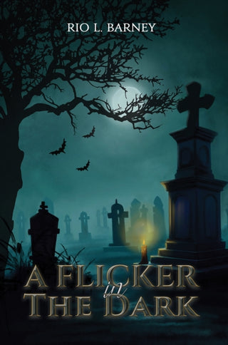 Cover image for 9781035845842 - A Flicker in the Dark