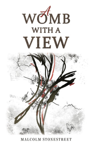 Cover image for 9781035848515 - A Womb With a View