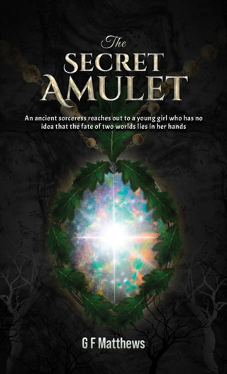 Cover image for 9781035850327 - The Secret Amulet