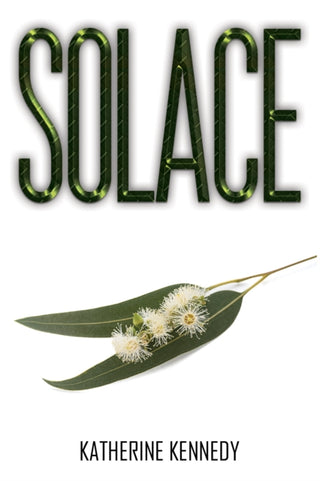 Cover image for 9781035851492 - Solace