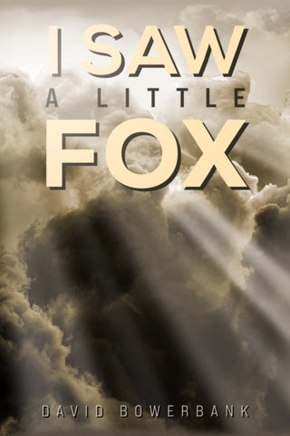 Cover image for 9781035851621 - I Saw a Little Fox