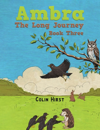 Cover image for 9781035851690 - Ambra: The Long Journey