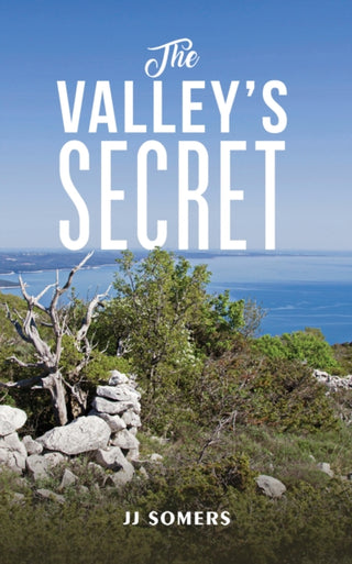 Cover image for 9781035856909 - The Valley's Secret