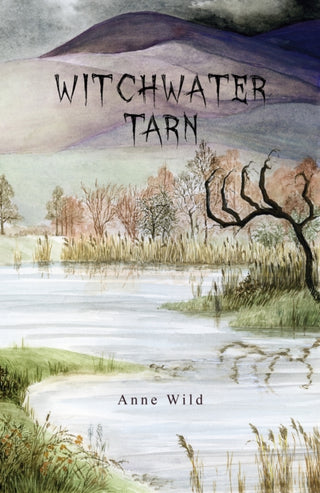 Cover image for 9781035858828 - Witchwater Tarn