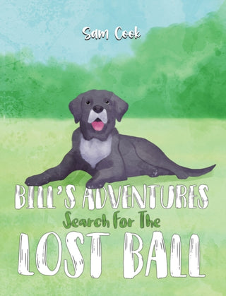 Cover image for 9781035858897 - Bill’s Adventures: Search for the Lost Ball
