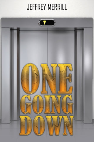 Cover image for 9781035859405 - One Going Down