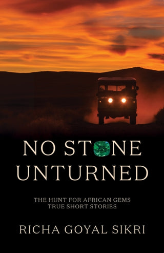 Cover image for 9781035867844 - No Stone Unturned