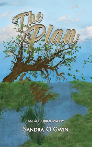 Cover image for 9781035868155 - The Plan