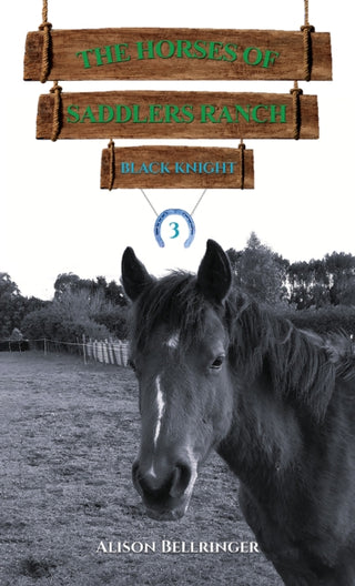 Supplemental image for 9781035869947 - The Horses of Saddlers Ranch: Black Knight