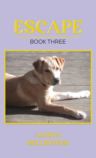 Cover image for 9781035873708 - Escape