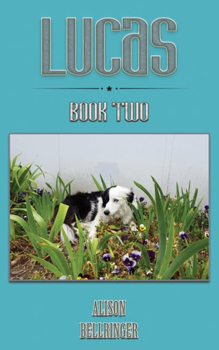 Cover image for 9781035873722 - Lucas