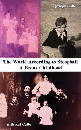 Cover image for 9781035877034 - The World According to Stoopball