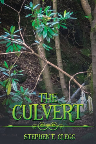 Cover image for 9781035881550 - The Culvert