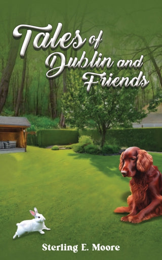 Cover image for 9781035882342 - Tales of Dublin and Friends