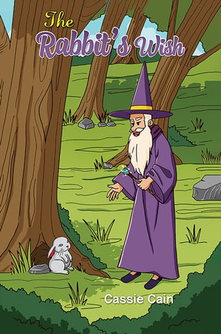 Cover image for 9781035889723 - The Rabbit's Wish