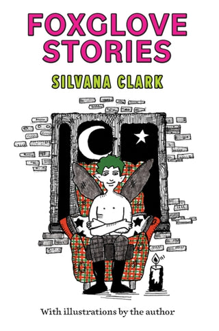 Cover image for 9781035889808 - Foxglove Stories