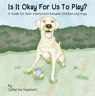 Supplemental image for 9781035892655 - Is It Okay For Us To Play?