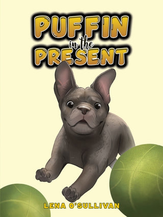 Cover image for 9781035893287 - Puffin in the Present