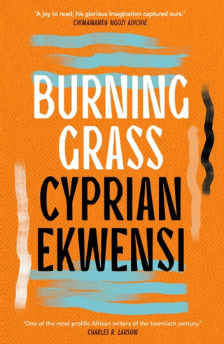 Cover image for 9781035906017 - Burning Grass