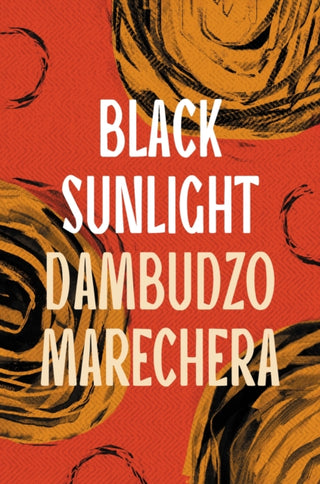 Cover image for 9781035906161 - Black Sunlight