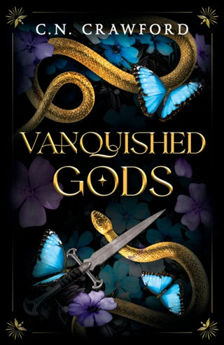 Cover image for 9781035919543 - Vanquished Gods