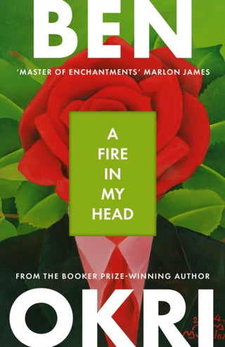 Cover image for 9781035930968 - Fire in My Head