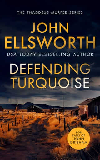 Cover image for 9781036700171 - Defending Turquoise