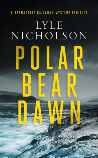Cover image for 9781036703615 - Polar Bear Dawn