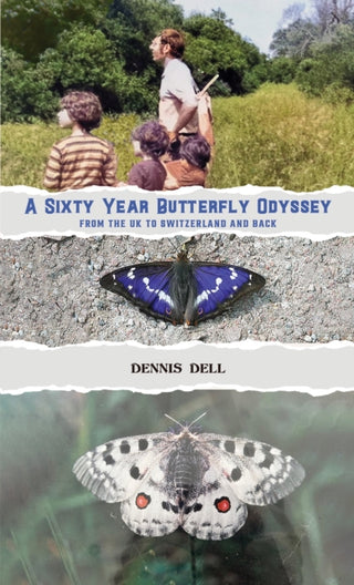 Cover image for 9781037117787 - A Sixty Year Butterfly Odyssey