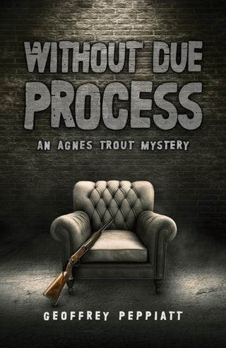 Cover image for 9781037123313 - Without Due Process