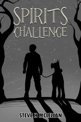 Cover image for 9781037127496 - Spirits Challenge