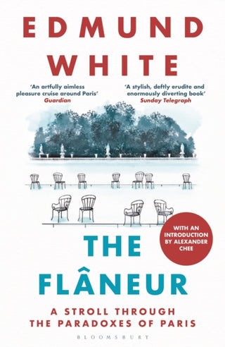 Cover image for 9781037207891 - The Flaneur